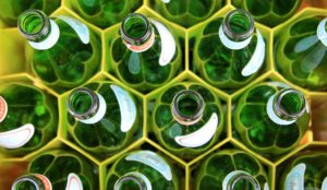 Green glass bottles organized in hexagon holders