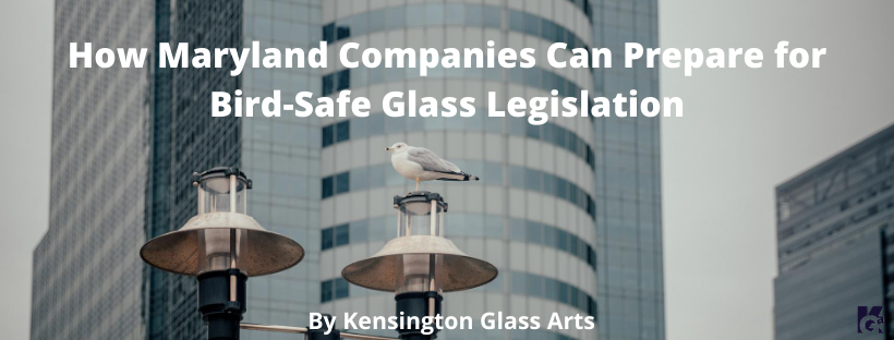 How To Prepare for Bird-Safe Glass